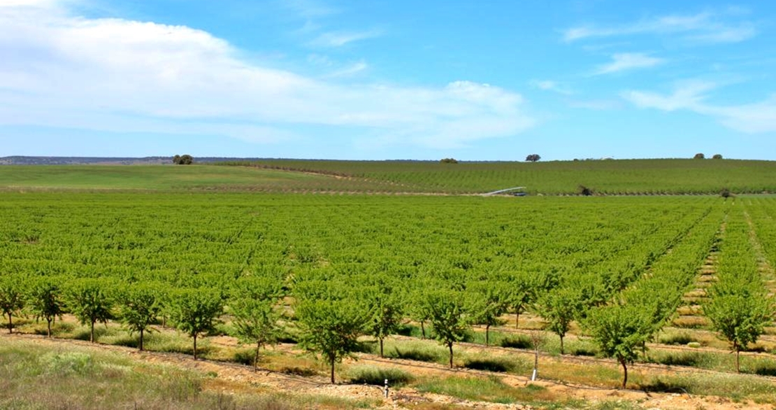 Ayudas agroambientales para 4.630 agricultores extremeños