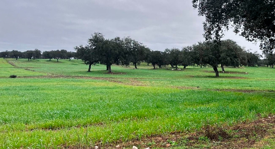 Ayudas por 2,5 M€ para mejorar fincas rústicas en Extremadura