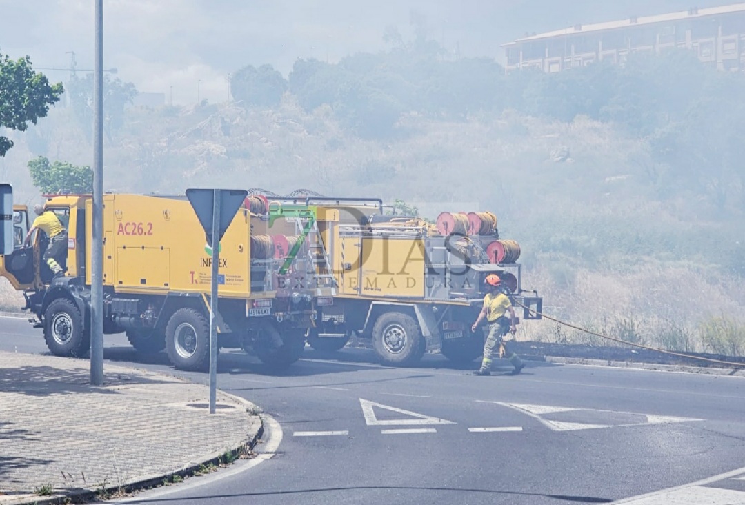 Los bomberos trabajan en un incendio forestal en la avda. Gabriel y Galán de Plasencia