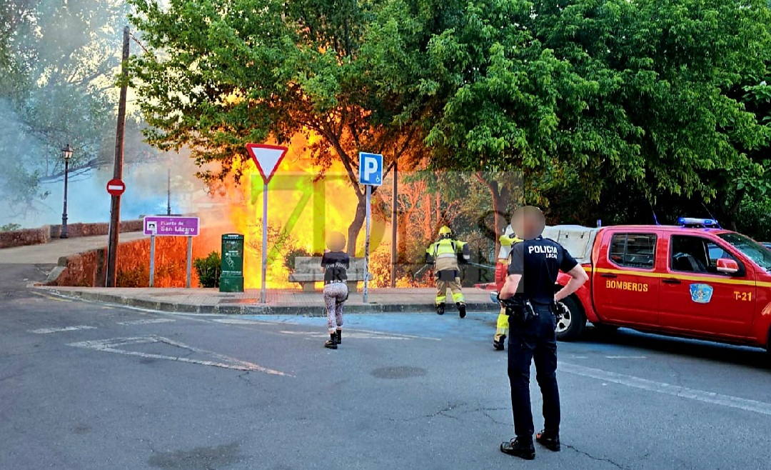 Bomberos del SEPEI extinguen un incendio en el Puente de San Lázaro de Plasencia