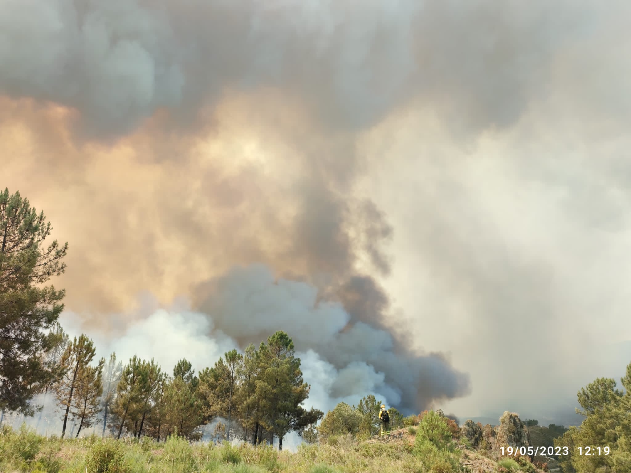 Proceden también a la evacuación de Ovejuela