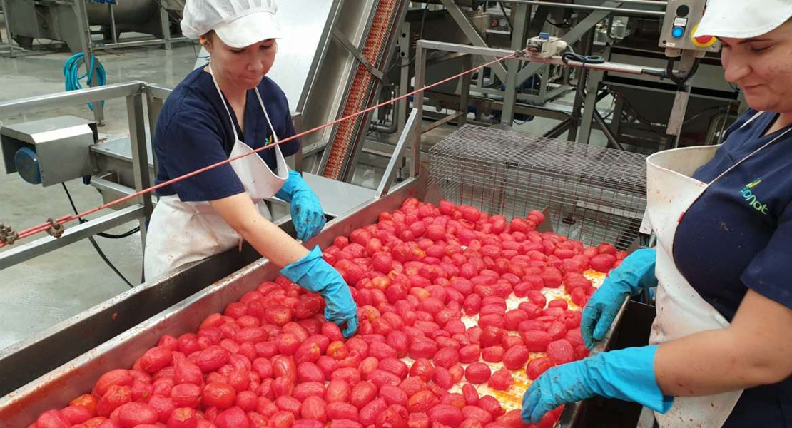La Junta tiene 40 M€ para instalar industrias agroalimentarias o modernizar las que hay