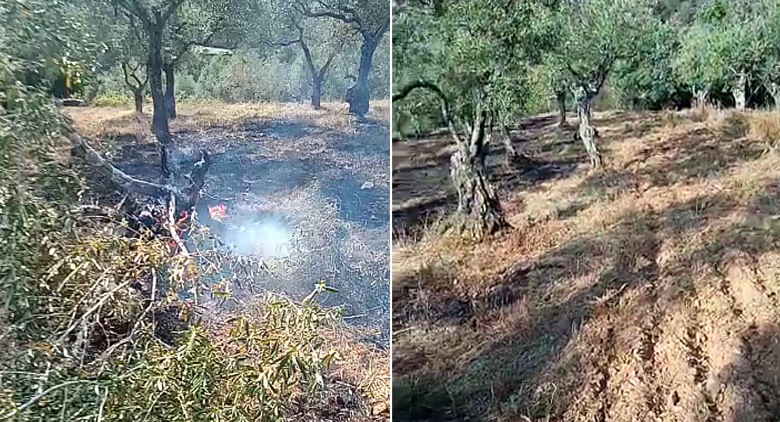 La Unión Extremadura desvela qué es lo que está avivando el fuego en Extremadura