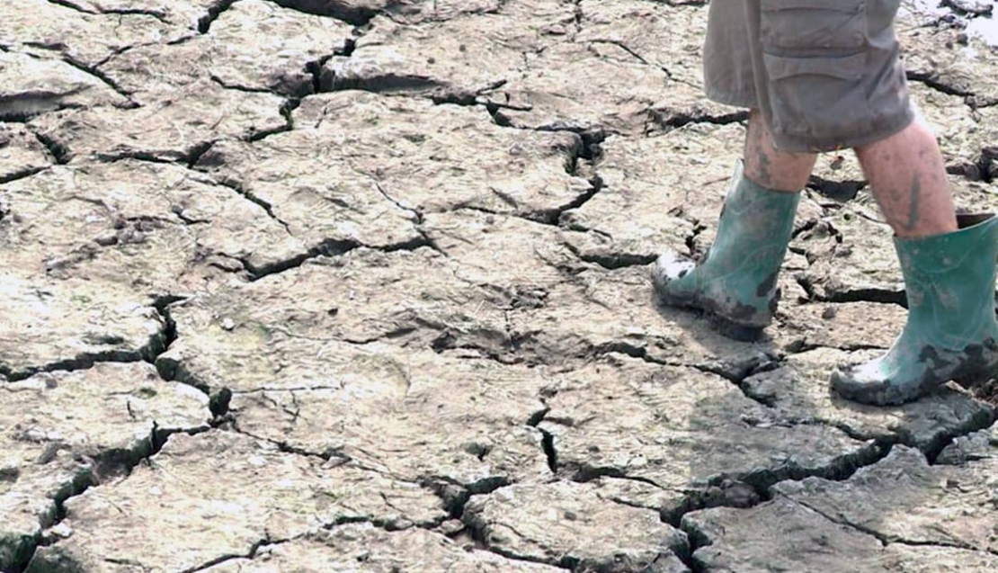 Asaja Extremadura considera “insuficientes” las ayudas aprobadas por el Gobierno
