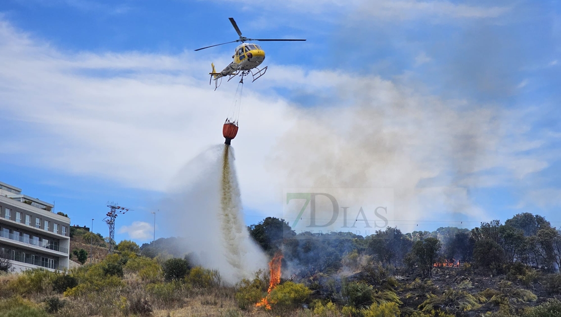 Los bomberos extinguen un incendio forestal en Plasencia cercano a viviendas