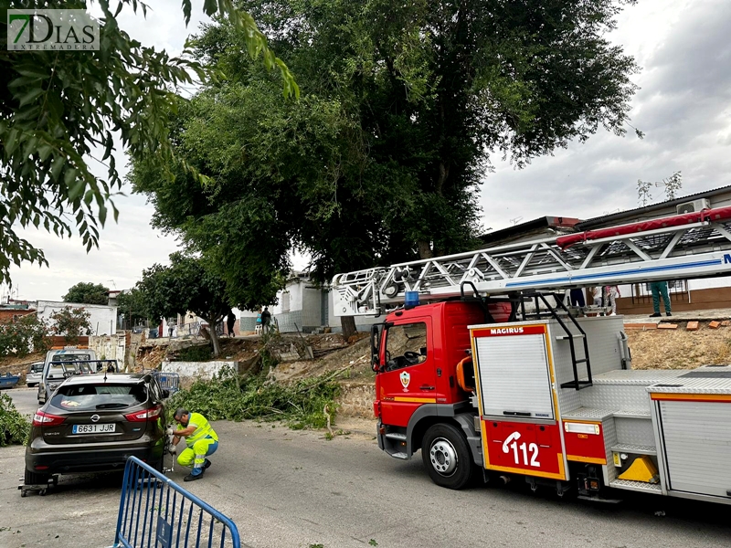 Los bomberos acudieron a varias llamadas por el fuerte viento en Badajoz