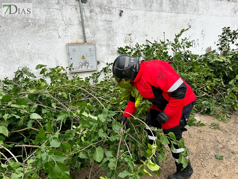 Los bomberos acudieron a varias llamadas por el fuerte viento en Badajoz