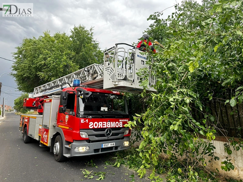 Los bomberos acudieron a varias llamadas por el fuerte viento en Badajoz