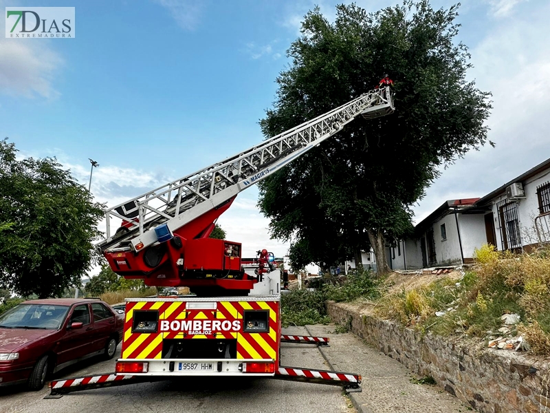 Los bomberos acudieron a varias llamadas por el fuerte viento en Badajoz