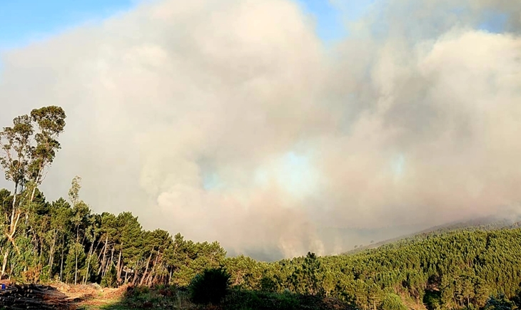 Continúa activo y con &quot;bastante&quot; intensidad el incendio en Pinofranqueado