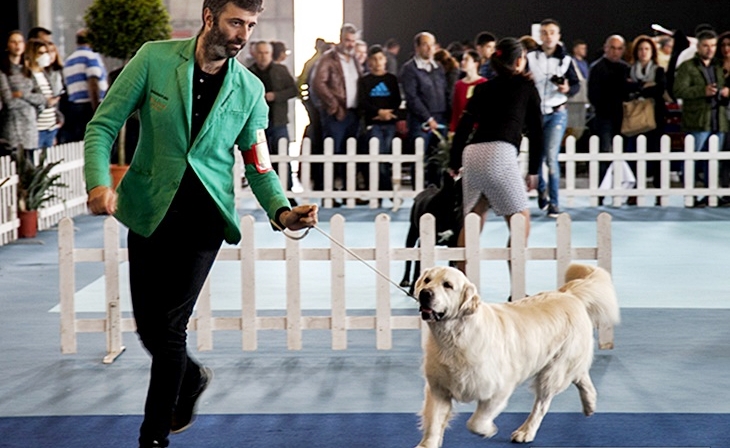 Seis nuevas razas exóticas participarán en la exposición internacional canina de Badajoz