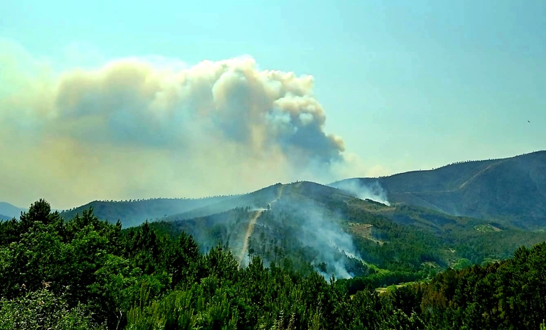 Dispositivo de casi 800 personas para combatir el fuego