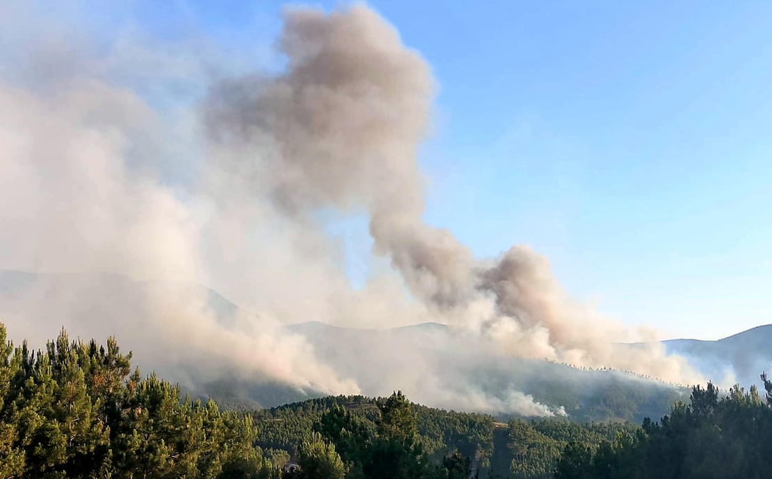 Muñoz: &quot;El origen del incendio posiblemente fue intencionado&quot;