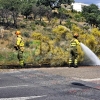 Los bomberos trabajan en un incendio forestal en la avda. Gabriel y Galán de Plasencia