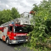 Los bomberos acudieron a varias llamadas por el fuerte viento en Badajoz