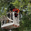 Los bomberos acudieron a varias llamadas por el fuerte viento en Badajoz