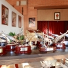 cambiar titular: Inauguración Salón del Jamón Jerez de los Caballeros