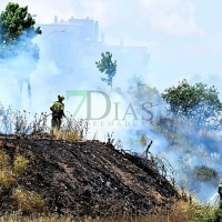 Los bomberos trabajan en un incendio forestal en la avda. Gabriel y Galán de Plasencia