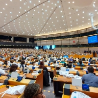 Representación extremeña en el 5° Parlamento Europeo de Personas con Discapacidad