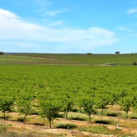 Ayudas agroambientales para 4.630 agricultores extremeños