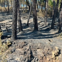 Incendio Gata y Las Hurdes: las primeras estimaciones indican 10.863 hectáreas quemadas