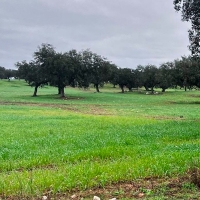Ayudas por 2,5 M€ para mejorar fincas rústicas en Extremadura