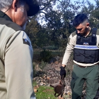 Los Agentes del Medio Natural reanudan la huelga