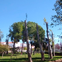 Vuelven los Premios Atila para denunciar a &quot;los destructores del medioambiente de Extremadura&quot;
