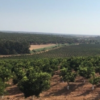 Comienzan a abonar los depósitos previos de las expropiaciones del regadío de Tierra de Barros
