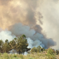 Nuevos desalojos a causa del incendio en el norte extremeño