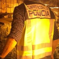 Desmantelan una plantación de marihuana en una vivienda del Gurugú (Badajoz)