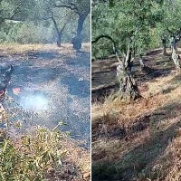 La Unión Extremadura desvela qué es lo que está avivando el fuego en Extremadura
