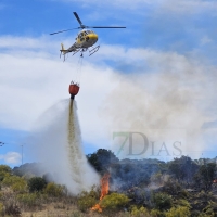 Los bomberos extinguen un incendio forestal en Plasencia cercano a viviendas