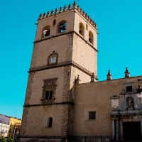 Recital en la Catedral con motivo del Día Internacional de los Museos