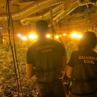 Desmantelan en Torre de Don Miguel una instalación de cultivo y producción “interior” de marihuana