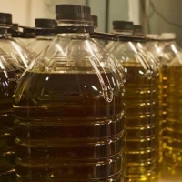 Las 11 marcas de aceite adulterado retiradas en Extremadura enfrentan un delito