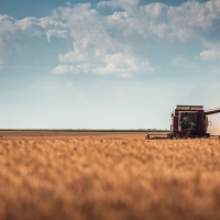 Publican la resolución que flexibiliza determinadas ayudas para la sequía en Extremadura