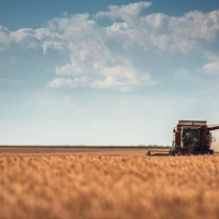 Cs.: “La preocupación general del sector agrario es la sequía, necesitan ayudas urgentes”