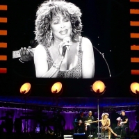 Muere la cantante Tina Turner