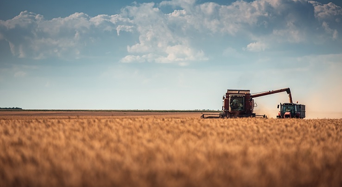 Publican la resolución que flexibiliza determinadas ayudas para la sequía en Extremadura