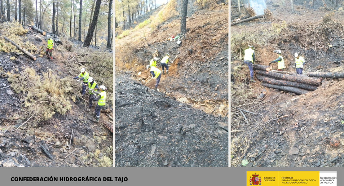 Así están trabajando en las zonas arrasadas por el fuego en Extremadura