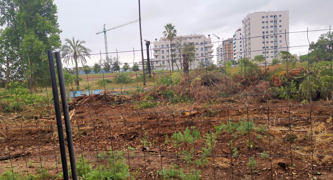 Las máquinas arrasan gran parte del Parque Ascensión de Badajoz