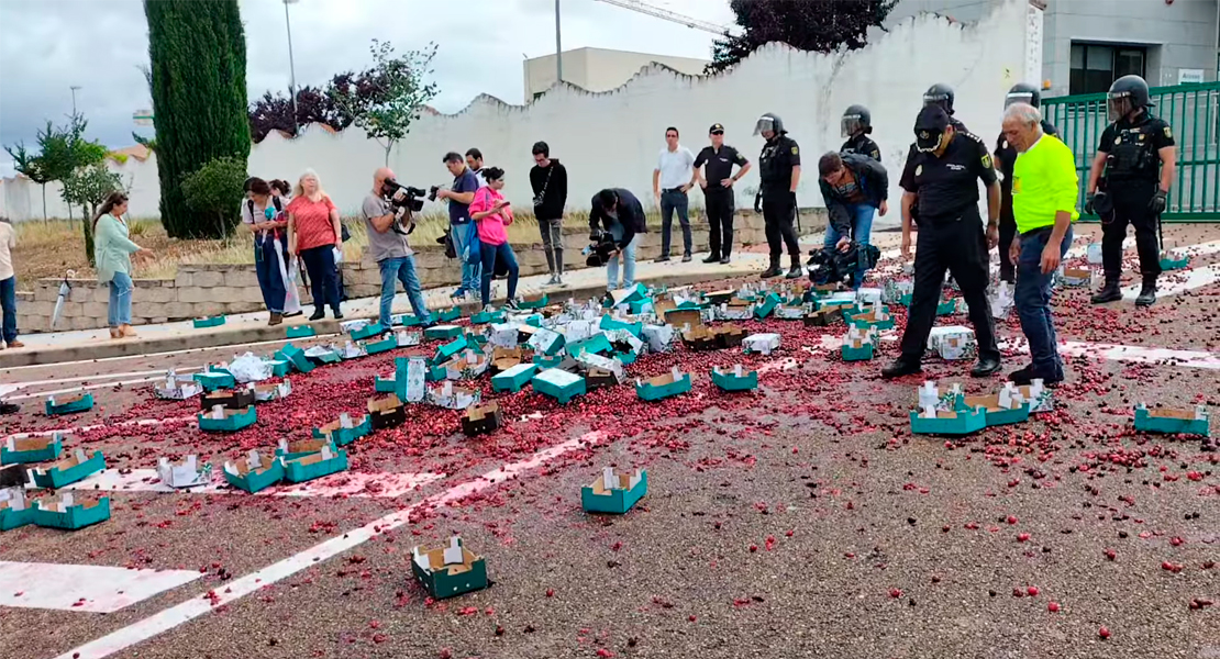 Los agricultores del norte extremeño tiran 500 kilos de cereza como protesta