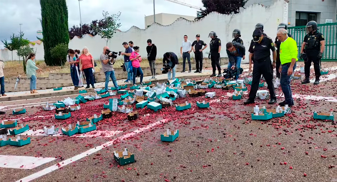 Los agricultores del norte extremeño tiran 500 kilos de cereza ante Agricultura