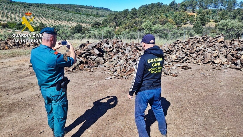 La Guardia Civil investiga a 24 personas por robo de corcho en Extremadura