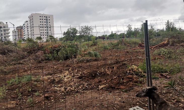 Muestran tristeza por la pérdida del Parque Ascensión Muestran tristeza por la pérdida del Parque Ascensión