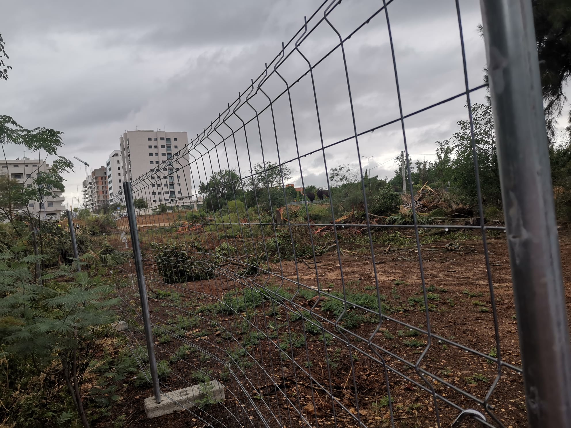 Las máquinas arrasan gran parte del Parque Ascensión de Badajoz