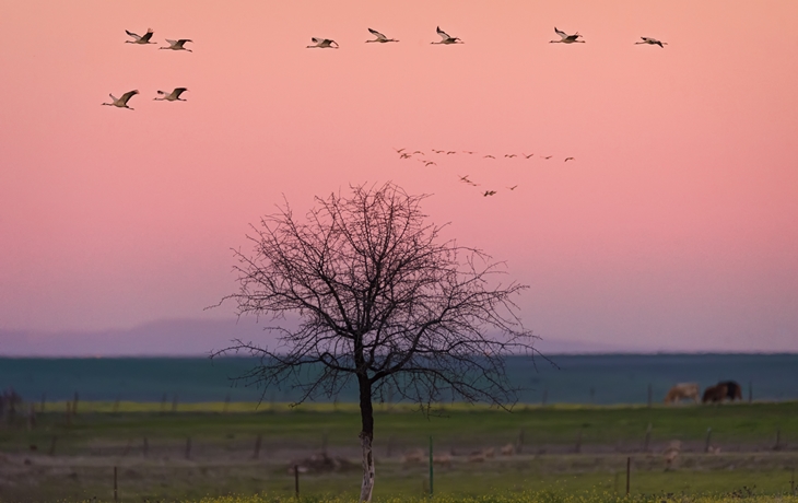 La contaminación del aire repunta en Extremadura
