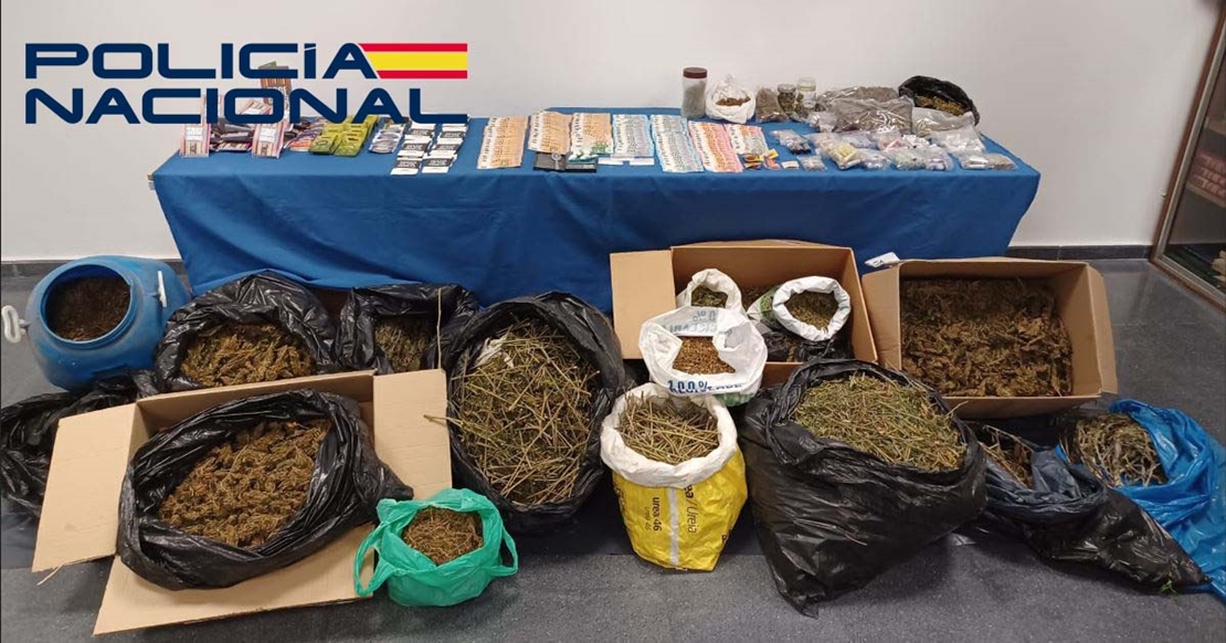 Intervienen marihuana, speed, dinero en efectivo, junto a dos plantaciones “indoor” en Mérida