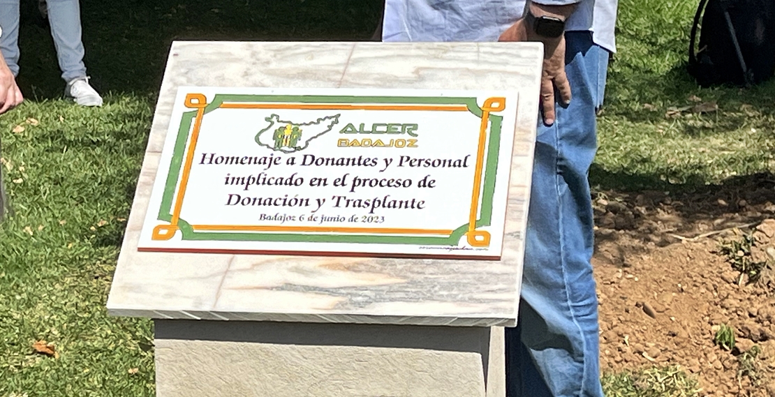 Vergeles reclama al Gobierno que la donación en vivo se reconozca como baja laboral para el donante